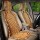 VOILA Wooden Bead Seat For Car Acupressure Design Universal Size Double
